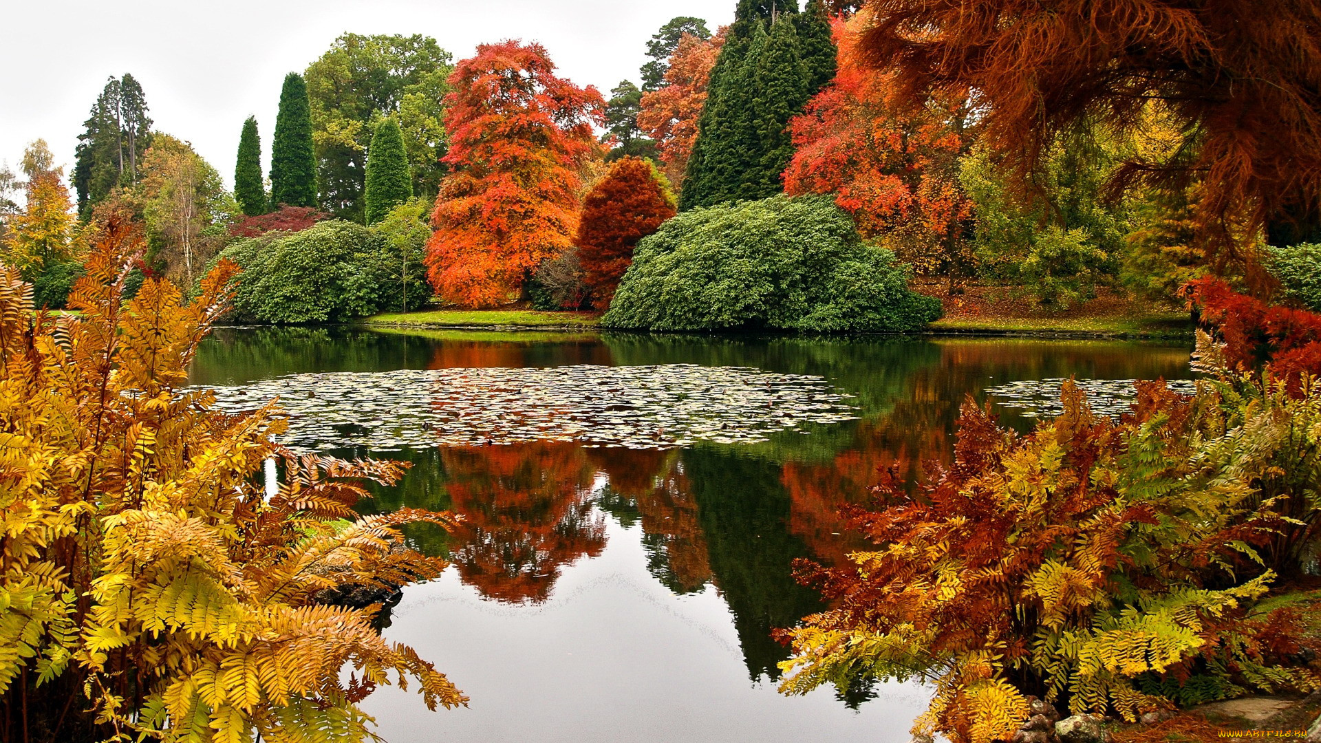 sheffield park garden, uk, , , sheffield, park, garden